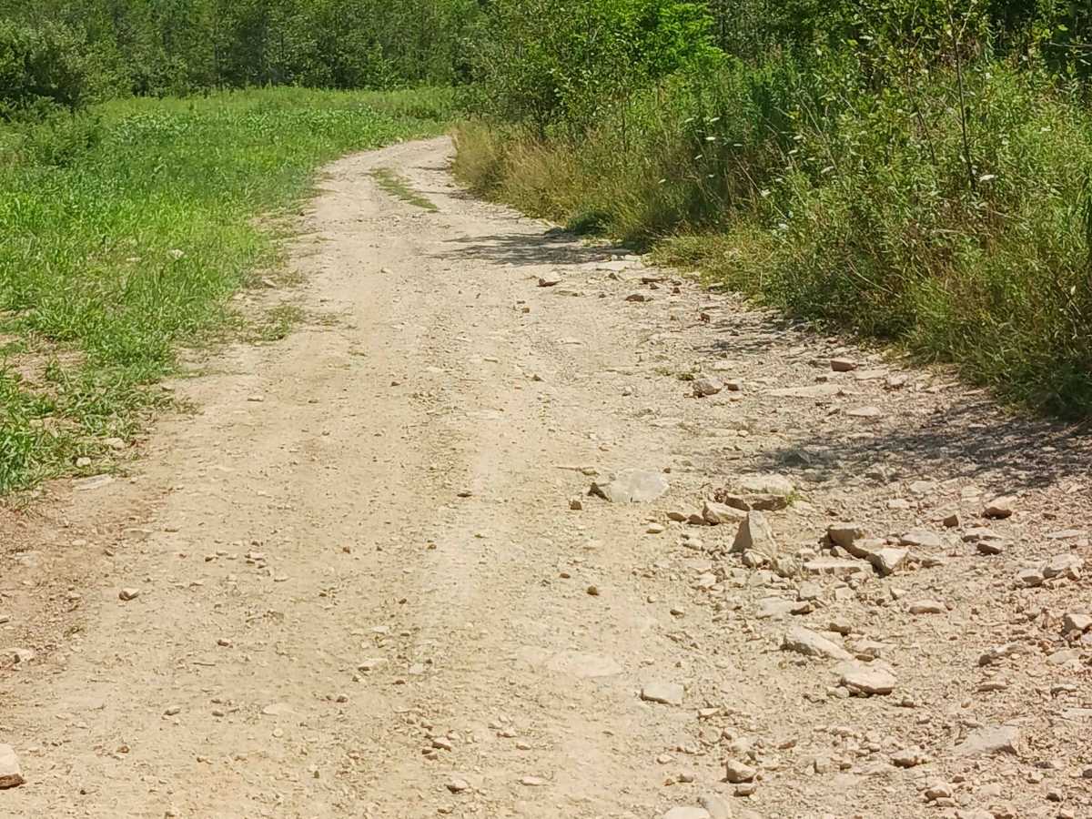 Blue Pipe - Rock Run Recreation Area photo 3