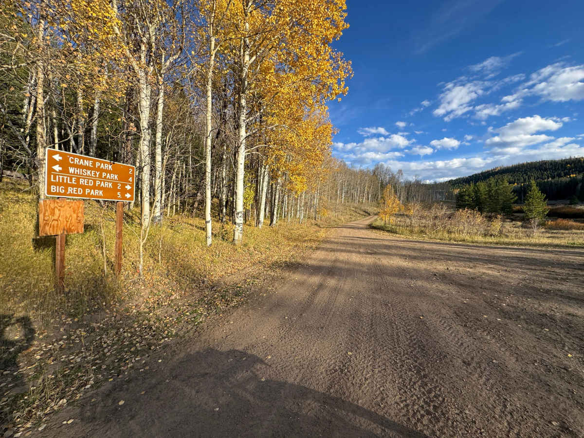 FS 501 trail photo