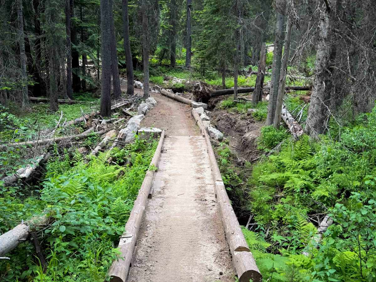 142 trail photo