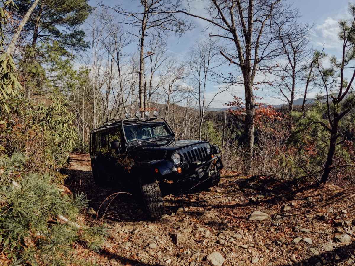 No Business Knob trail photo