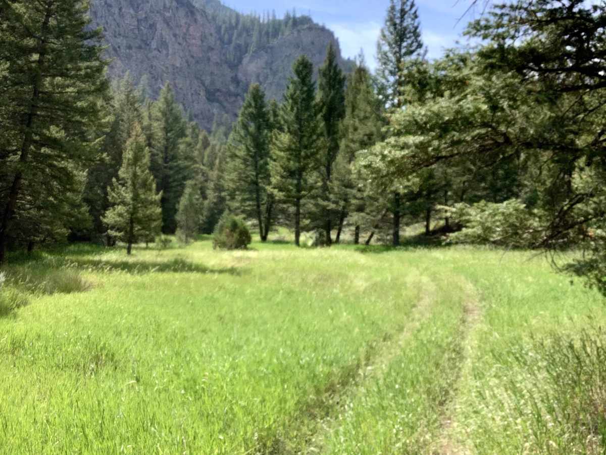 Van Dorn Canyon Trail photo 6