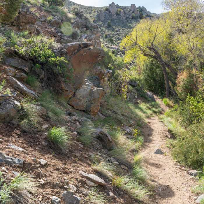 Near Encampment River Trail