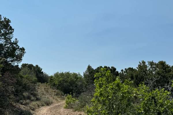 Cedar Mountain West