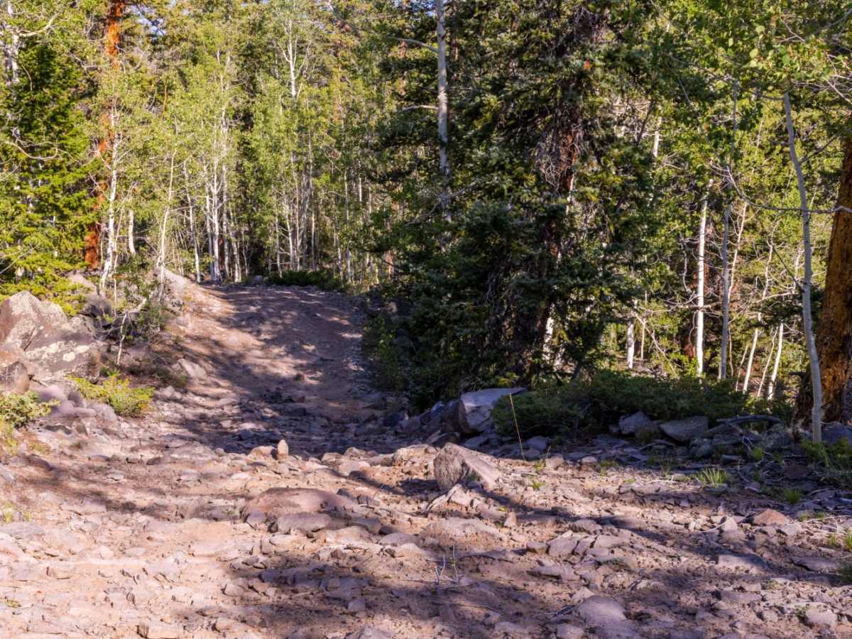 Deep Creek Lake Road photo 4