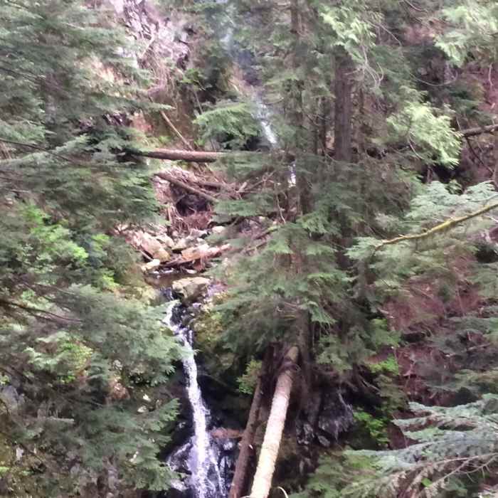 Near Brothers Creek Trail