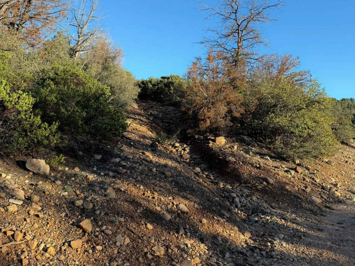 Cottonwood Spring #664  photo 4
