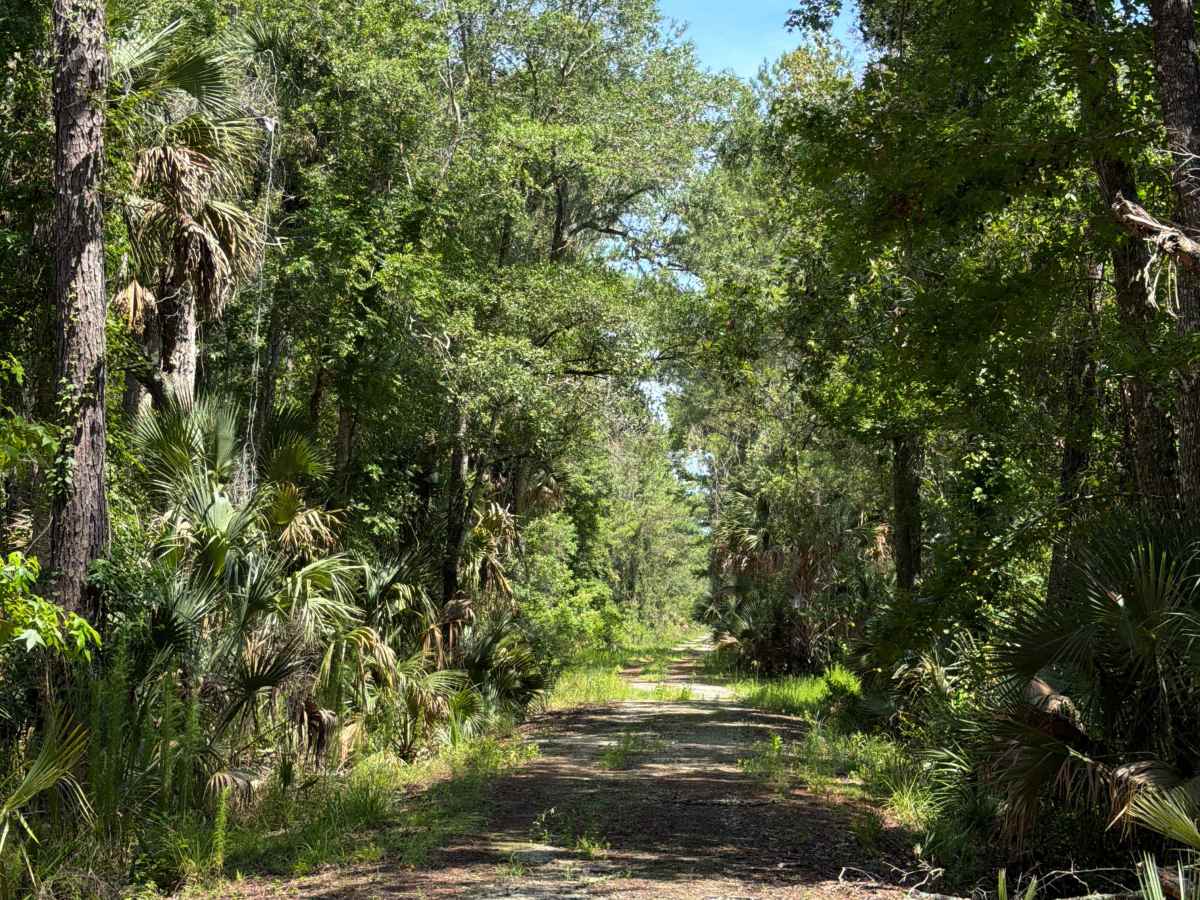 Marsh Road photo 4