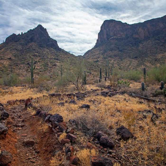 Near Nature Near Nature