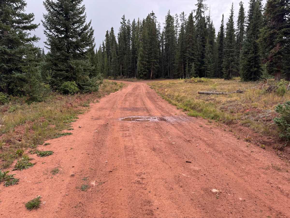 Kobey Park - Link Road photo 4