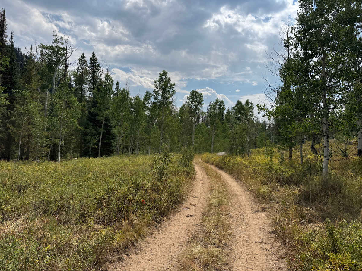 Bowes Spur Road - FS 471.1B photo 4