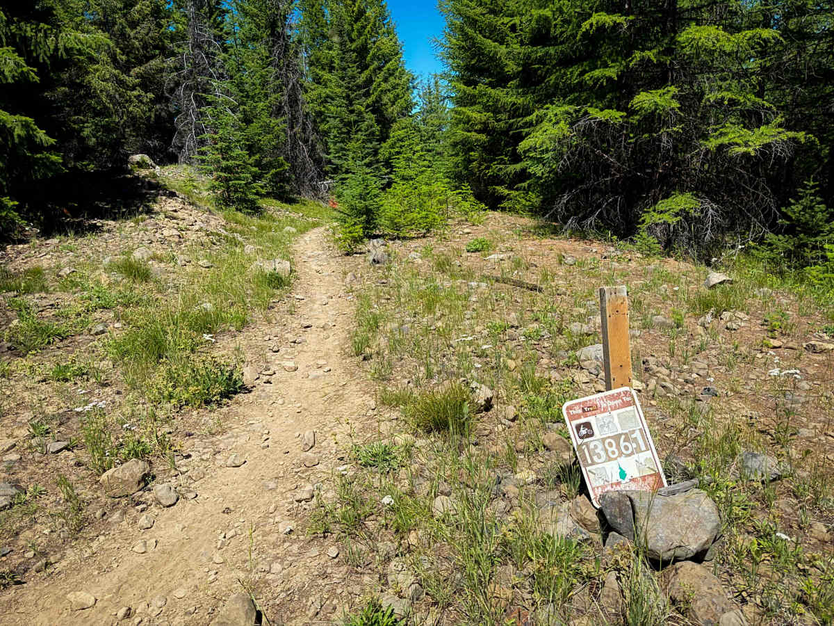 FS 1386.1  trail photo