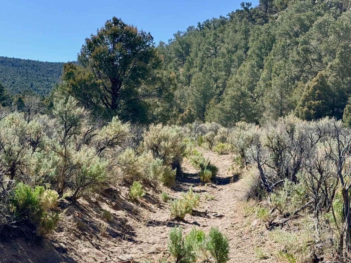 Horse Heaven Canyon photo 6