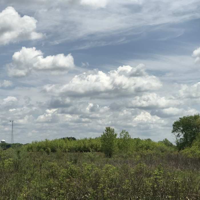 Late spring sun and clouds on the Marsh Hawk Trail. Near Marsh Hawk Trail