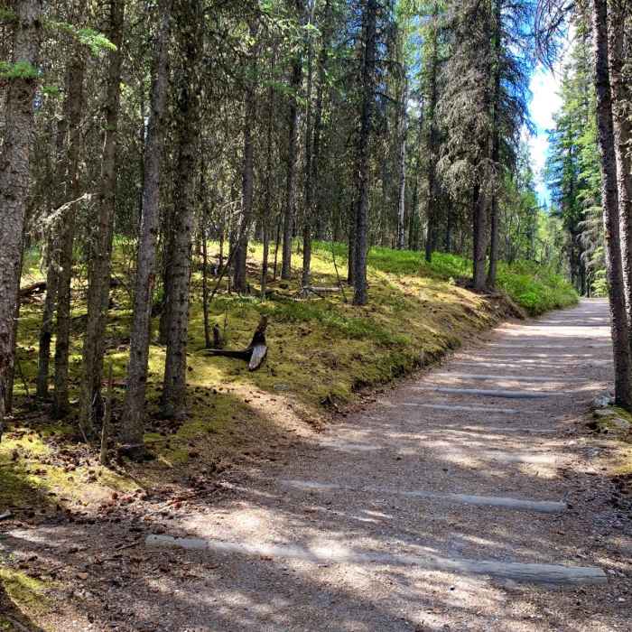 Near Horseshoe Lake Near Horseshoe Lake