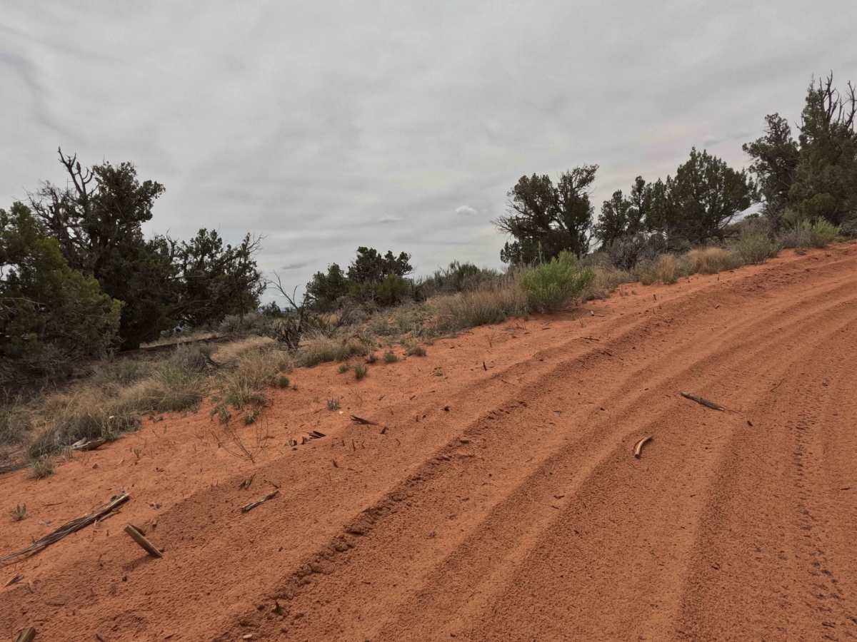 BLM 61H photo 5