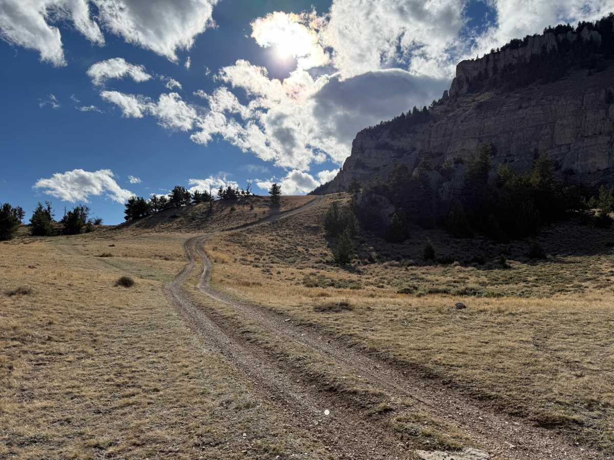 Sheep Mountain Access trail photo