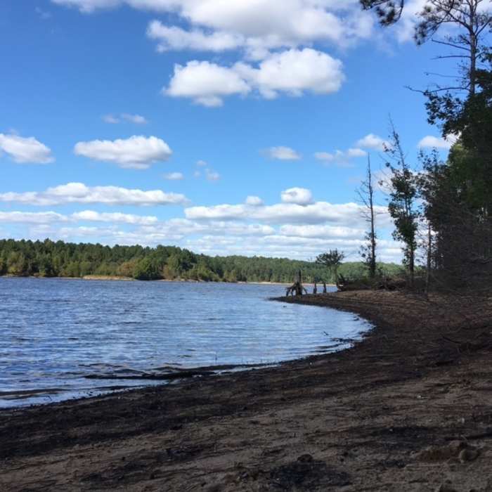 Near Falls Lake Trail - Section 1