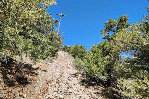 Rawe Peak West Trail