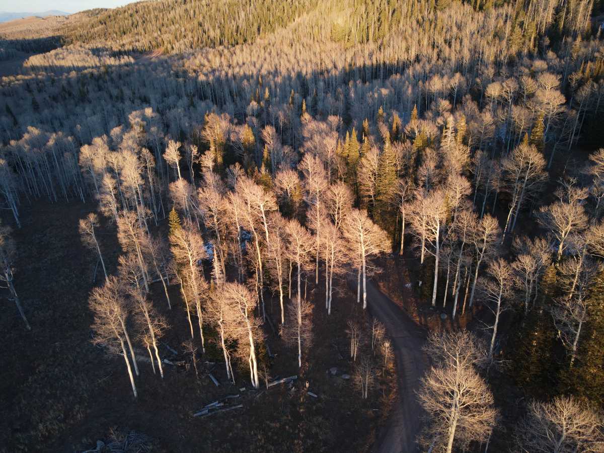 Navajo Point trail photo