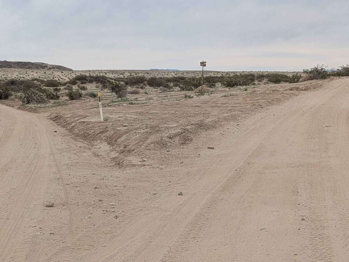 Count Line Road photo 4