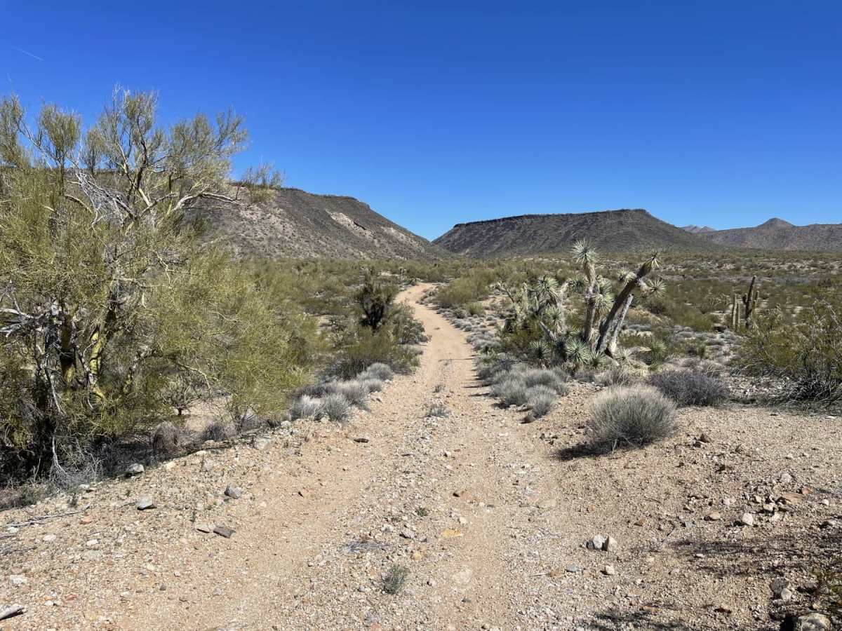 The Base of Malpais Mesa trail photo