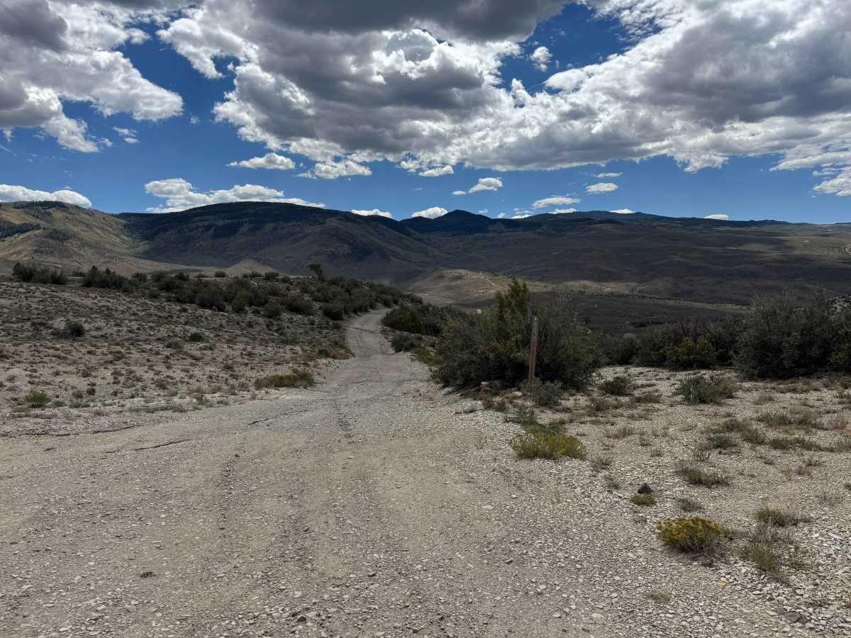 BLM 8532 photo 3