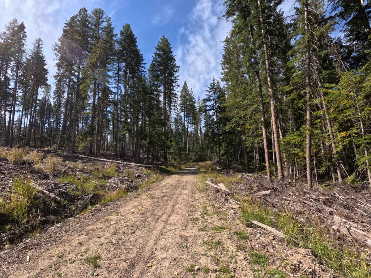 Kennett Meadows- FS 1700460 photo 2