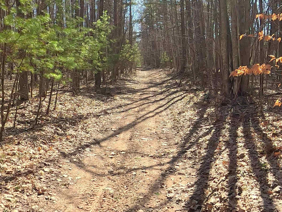 ORV H-57 : Mack- Maltby Hills Loop photo 2