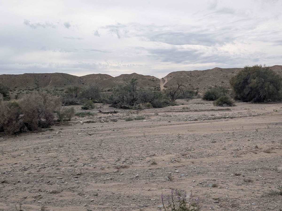 EC1229 photo 5