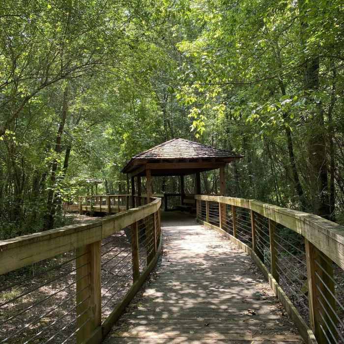 Near Town Creek Park East Entrance Trail