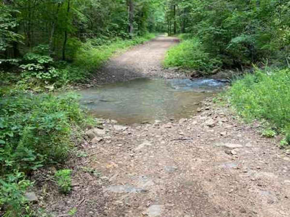 Indian Creek photo 2