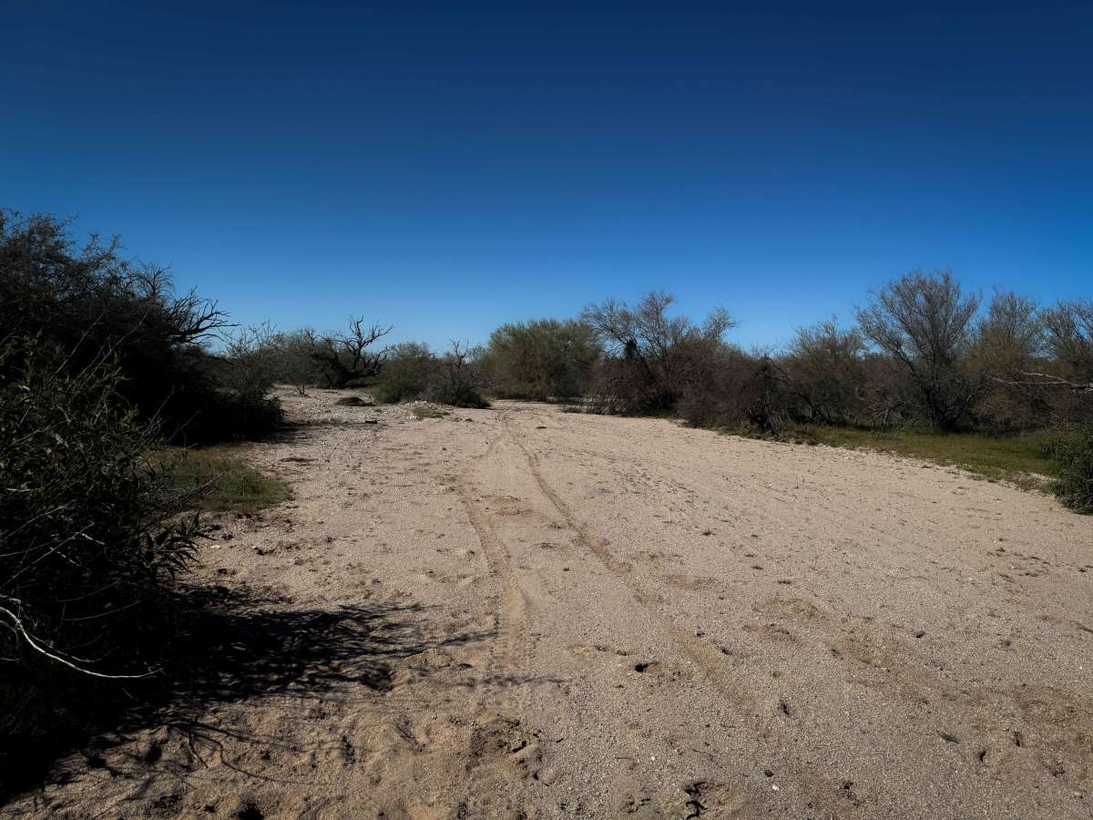 Bogard Wash  photo 5