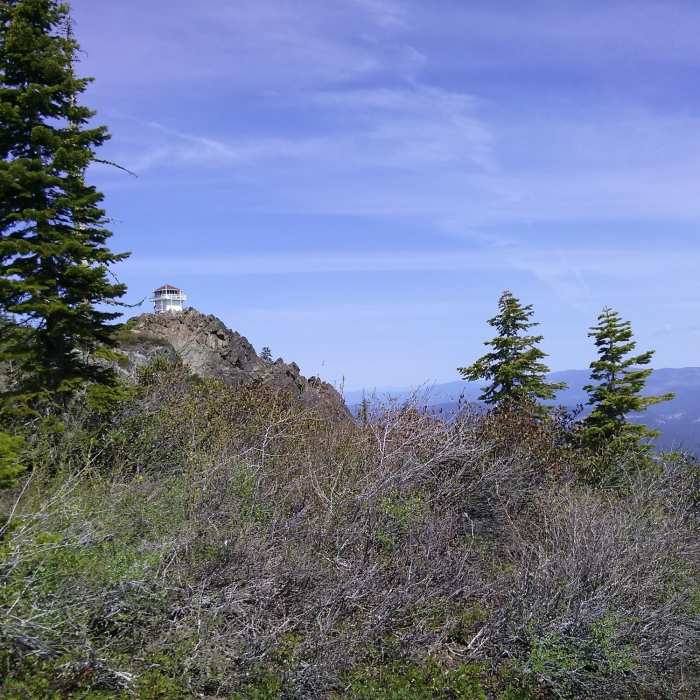 Near Upper Mills Peak Trail