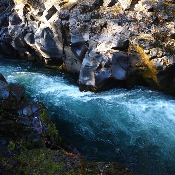 Near Rogue Gorge Trail #1034A