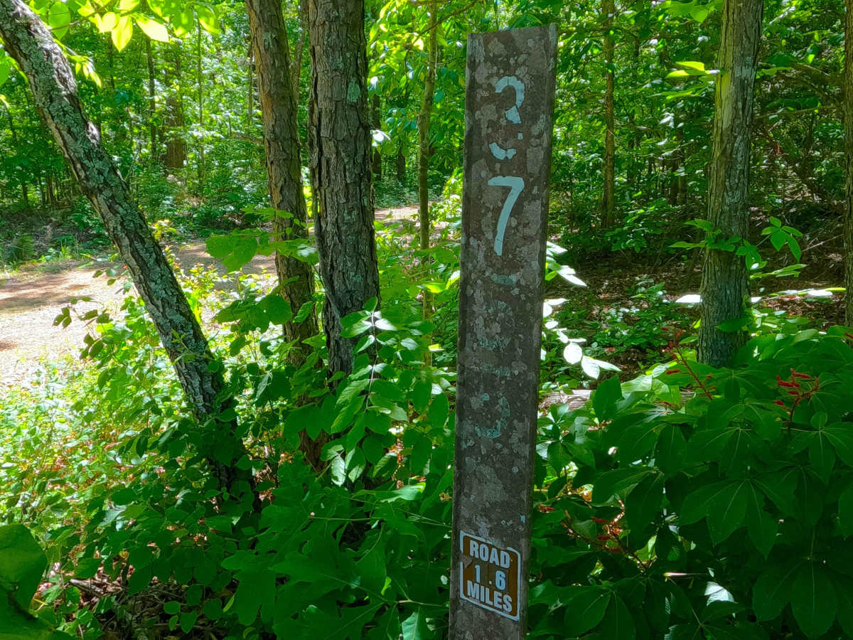 South Boundary - FS 3755 trail photo