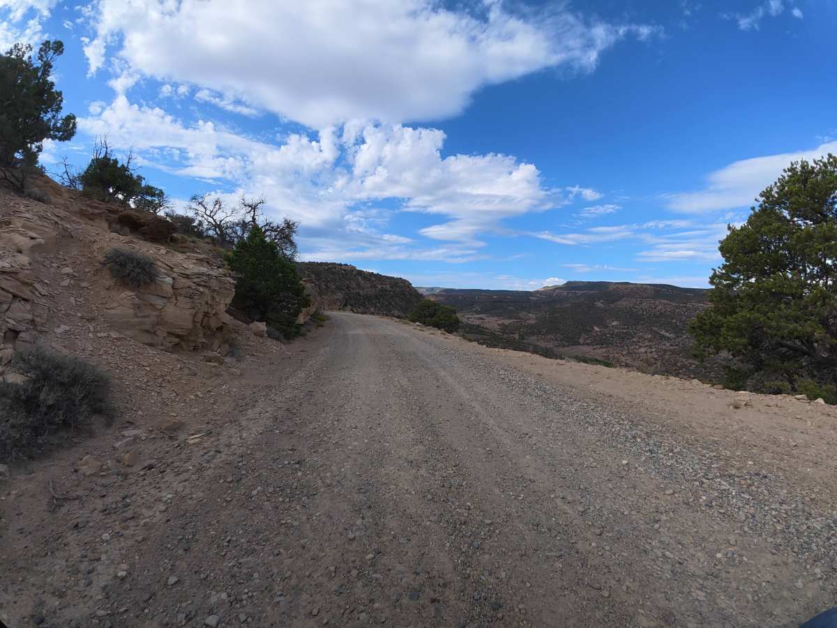 BLM 31 photo 3