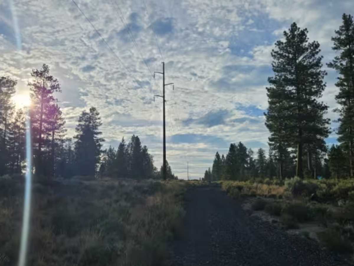 FS 2424017 photo 3