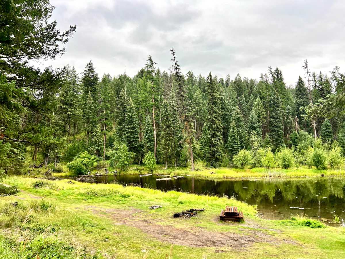 Edward's Lake photo 4