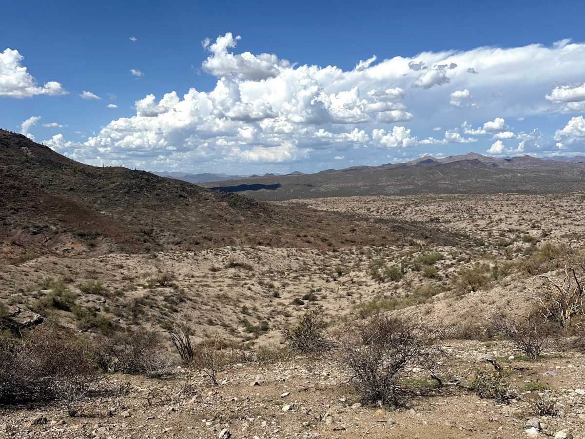 AR-LO Trail photo 2