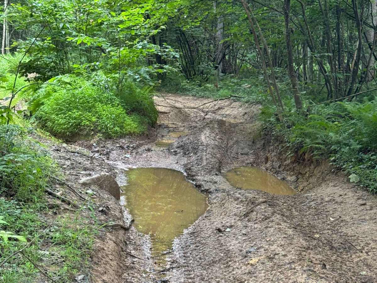 Trail 18  photo 6