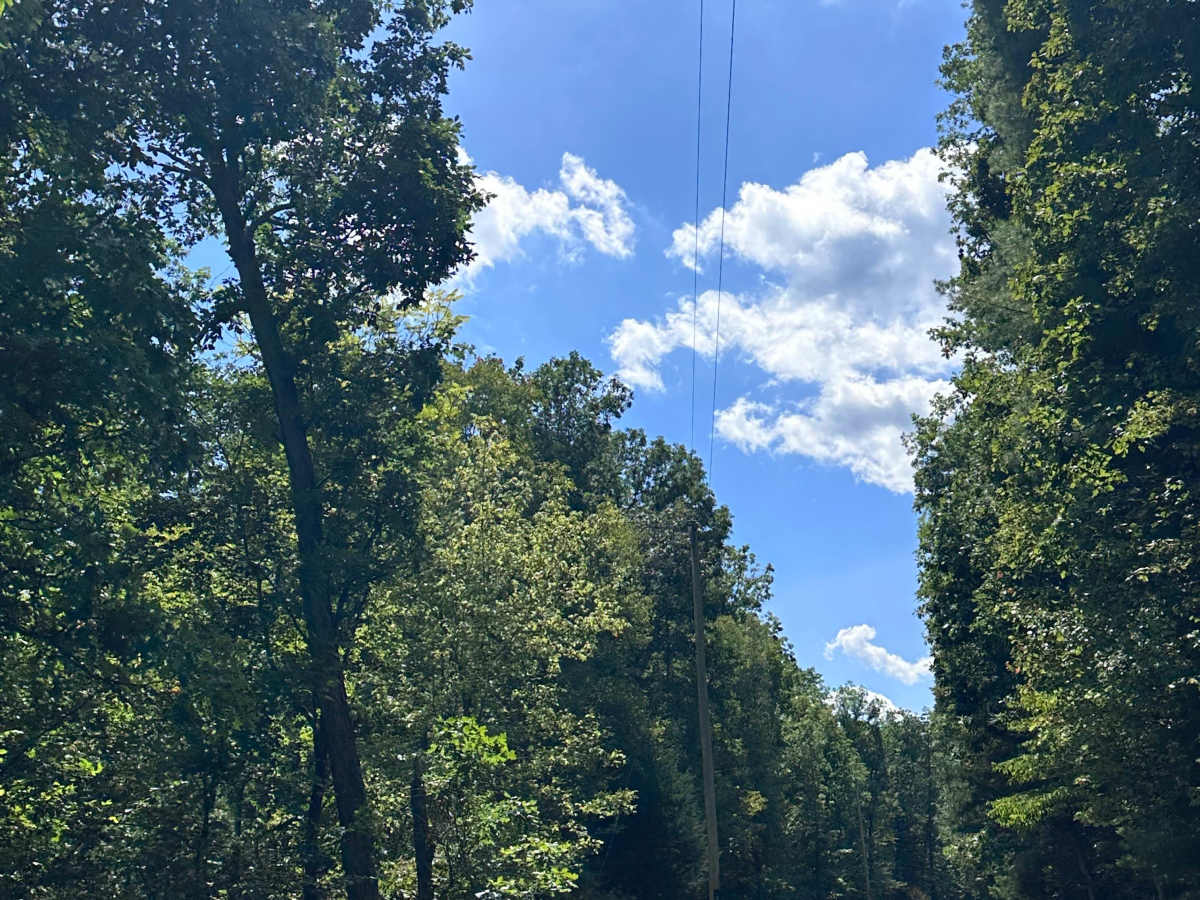 Mine Mountain trail photo