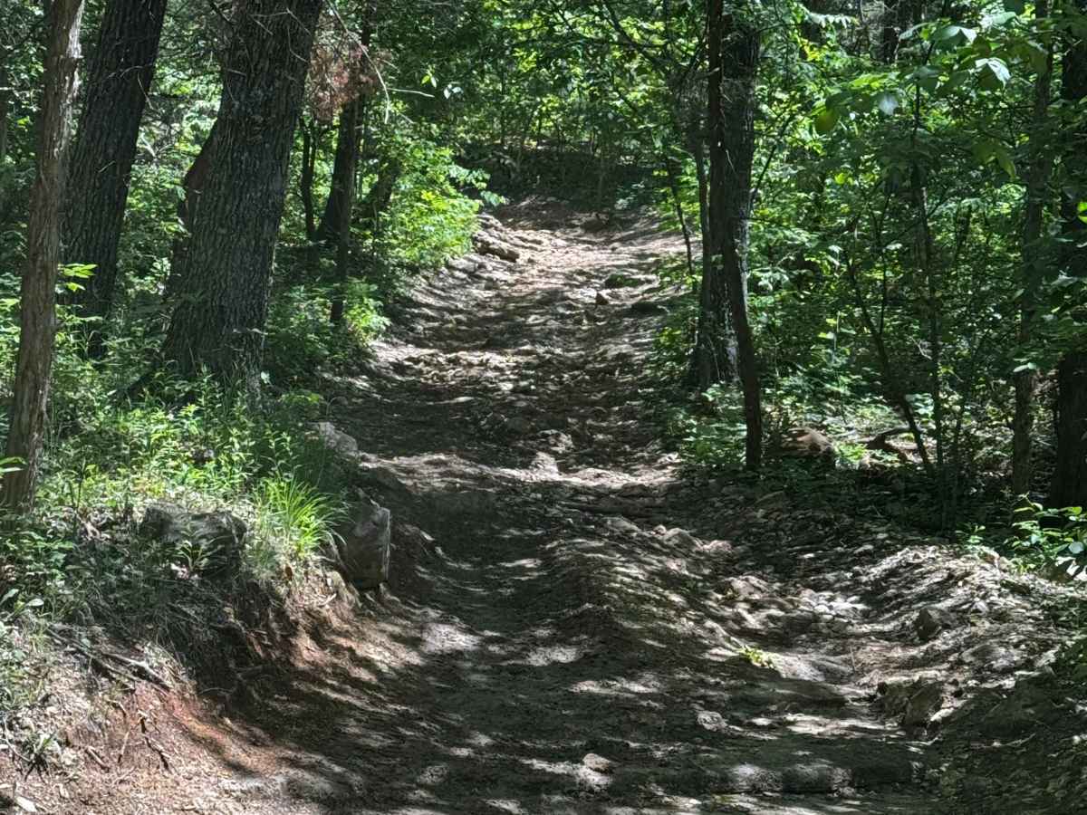 Perimeter Trail photo 2
