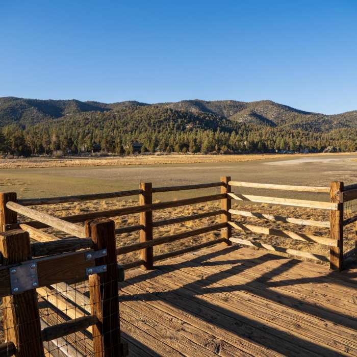 Near Stanfield Marsh Boardwalk