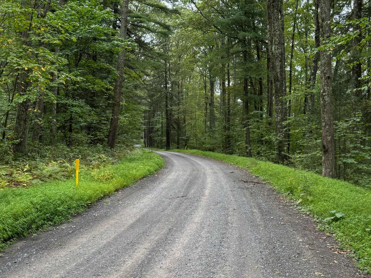 Brown Road photo 6