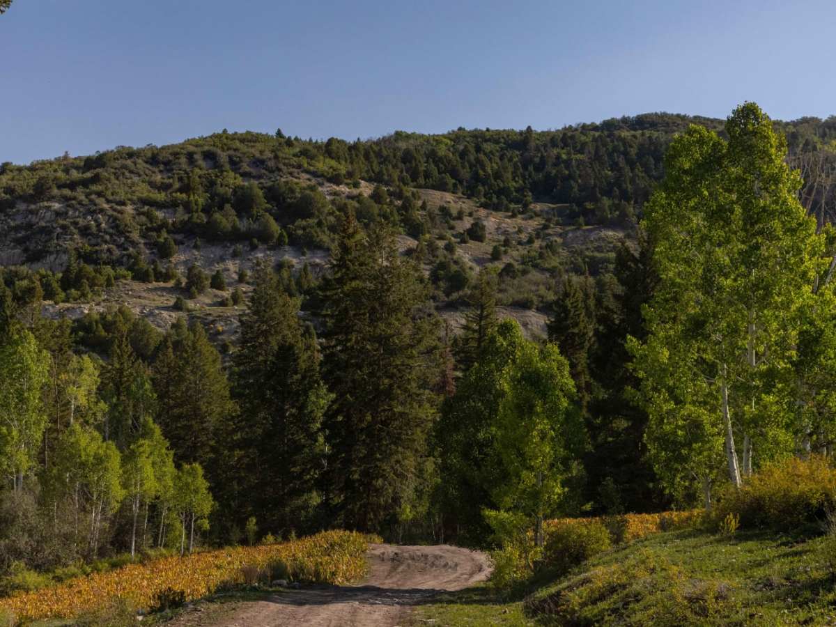 Beaver Creek Road photo 3