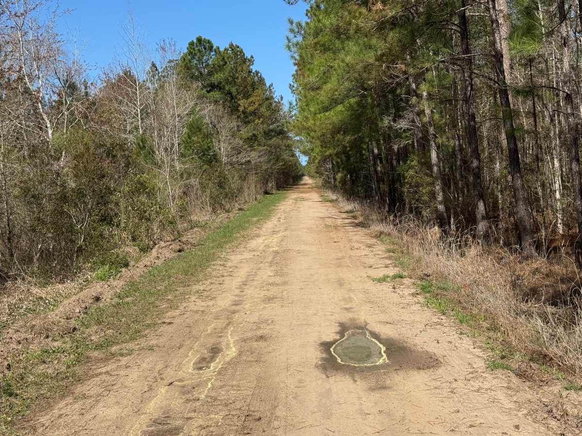 Smith Hammock Road photo 2