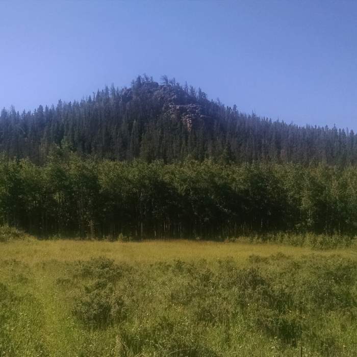 Near Double Black Diamond