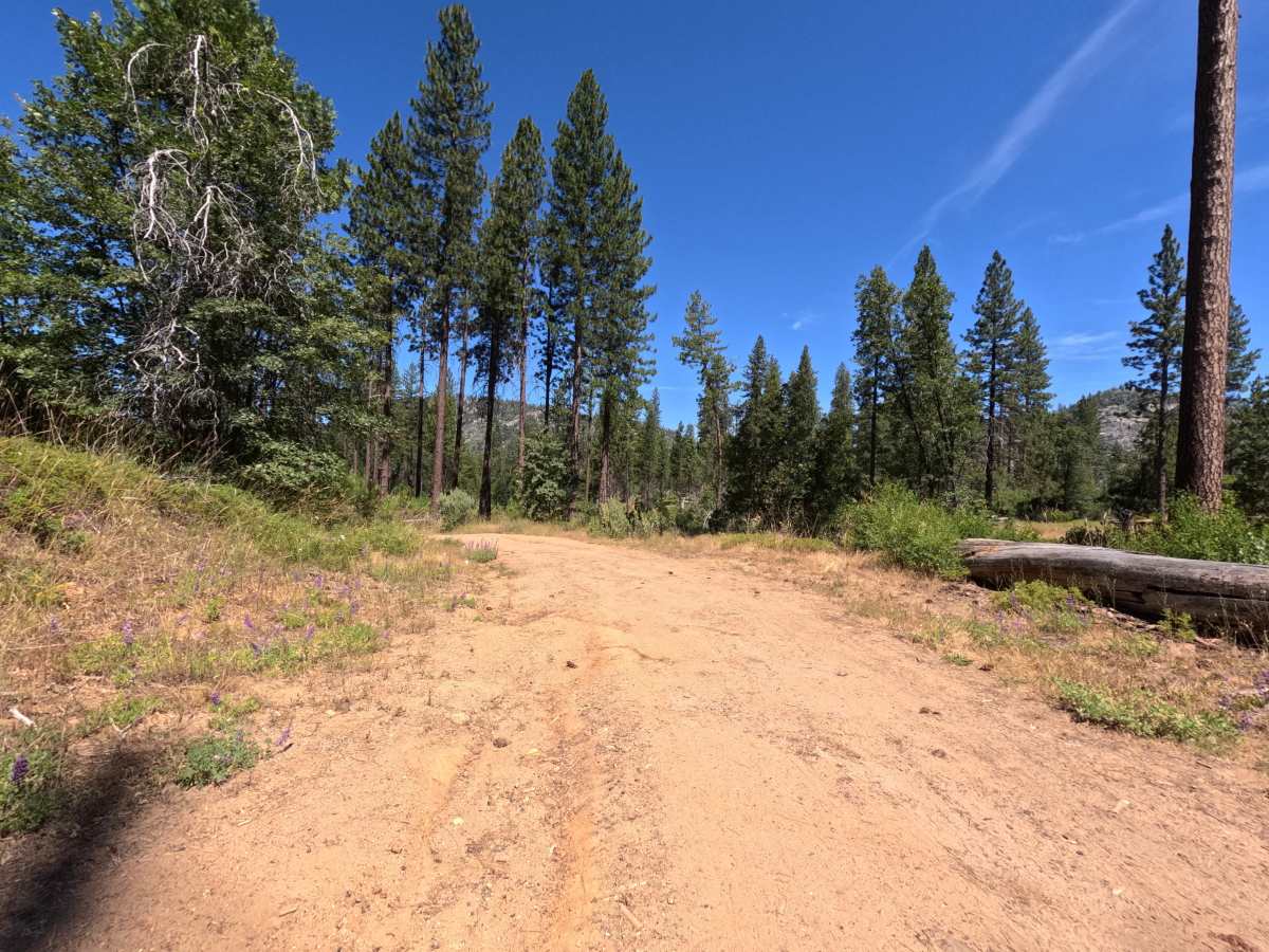 FS 19EV135 trail photo