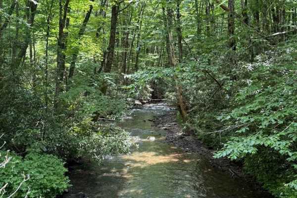 Perry Gap - FS 350