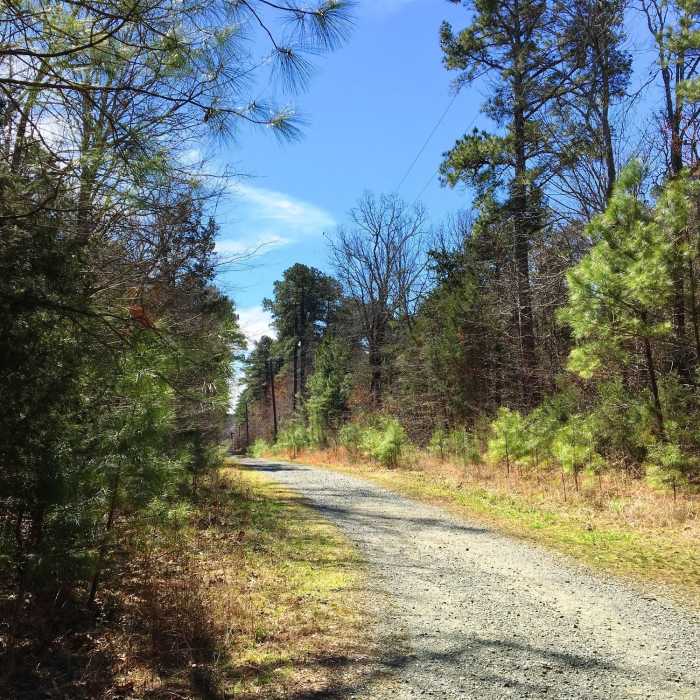 Near Occoneechee Loop